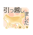 新生活にゃんこ（敬語）（個別スタンプ：13）