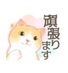 新生活にゃんこ（敬語）（個別スタンプ：30）