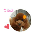 ティナのスタンプ13（個別スタンプ：1）