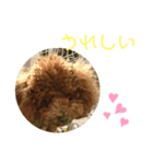 ティナのスタンプ13（個別スタンプ：3）