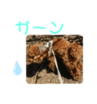 ティナのスタンプ13（個別スタンプ：4）