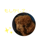 ティナのスタンプ13（個別スタンプ：7）