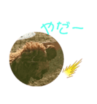 ティナのスタンプ13（個別スタンプ：8）