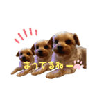 外山家の愉快な仲間たちⅤ（個別スタンプ：7）