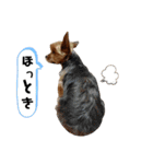 外山家の愉快な仲間たちⅤ（個別スタンプ：8）