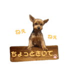外山家の愉快な仲間たちⅤ（個別スタンプ：16）