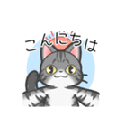 ねこねこねこねこ (あいさつ)（個別スタンプ：7）