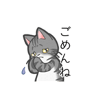 ねこねこねこねこ (あいさつ)（個別スタンプ：11）