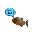 お魚♡STYLE（個別スタンプ：2）