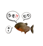 お魚♡STYLE（個別スタンプ：9）