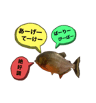 お魚♡STYLE（個別スタンプ：11）