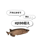 お魚♡STYLE（個別スタンプ：13）