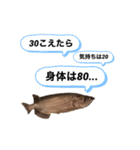 お魚♡STYLE（個別スタンプ：15）