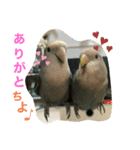 とりっぴーズ（個別スタンプ：1）