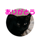 クゥちゃんスタンプ♪（個別スタンプ：4）