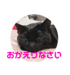 クゥちゃんスタンプ♪（個別スタンプ：5）
