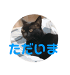 クゥちゃんスタンプ♪（個別スタンプ：6）