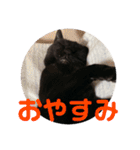 クゥちゃんスタンプ♪（個別スタンプ：9）
