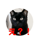 クゥちゃんスタンプ♪（個別スタンプ：14）