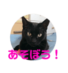クゥちゃんスタンプ♪（個別スタンプ：17）