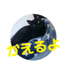クゥちゃんスタンプ♪（個別スタンプ：19）