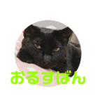 クゥちゃんスタンプ♪（個別スタンプ：22）