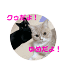 クゥちゃんスタンプ♪（個別スタンプ：23）
