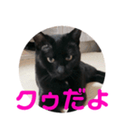 クゥちゃんスタンプ♪（個別スタンプ：24）