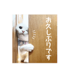 コトのおちり3（個別スタンプ：5）