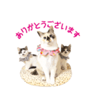 コトのおちり3（個別スタンプ：6）
