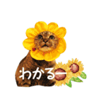 コトのおちり3（個別スタンプ：8）