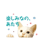 コトのおちり3（個別スタンプ：9）
