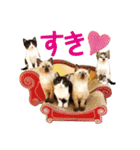 コトのおちり3（個別スタンプ：10）