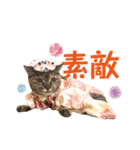 コトのおちり3（個別スタンプ：14）