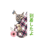 コトのおちり3（個別スタンプ：19）
