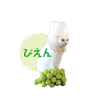 コトのおちり3（個別スタンプ：21）