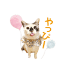 コトのおちり3（個別スタンプ：24）