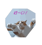 チャオ君(イラスト風)（個別スタンプ：2）