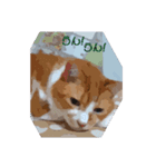 チャオ君(イラスト風)（個別スタンプ：3）