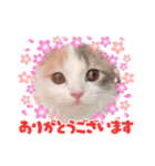 神の子マフィン（個別スタンプ：1）