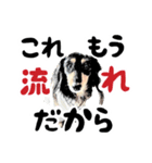 ミニチュアダックスの気ままなランチ27（個別スタンプ：4）