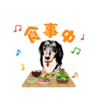 ミニチュアダックスの気ままなランチ27（個別スタンプ：5）