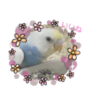 スミちゃんたち！（個別スタンプ：5）