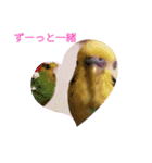 スミちゃんたち！（個別スタンプ：8）