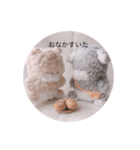 マシュマロ犬のジェームス（個別スタンプ：5）