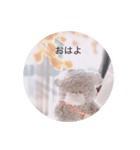 マシュマロ犬のジェームス（個別スタンプ：11）
