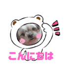 ぷーすけの毎日（個別スタンプ：3）