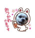 ぷーすけの毎日（個別スタンプ：11）
