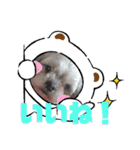 ぷーすけの毎日（個別スタンプ：13）