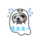 ぷーすけの毎日（個別スタンプ：15）